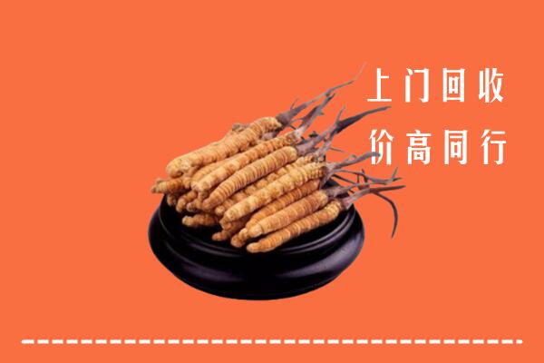高价求购：铜川市耀州回收散虫草
