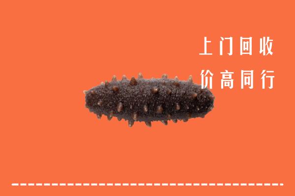 铜川市耀州回收海参